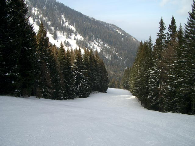 D&uuml;rrkogelabfahrt