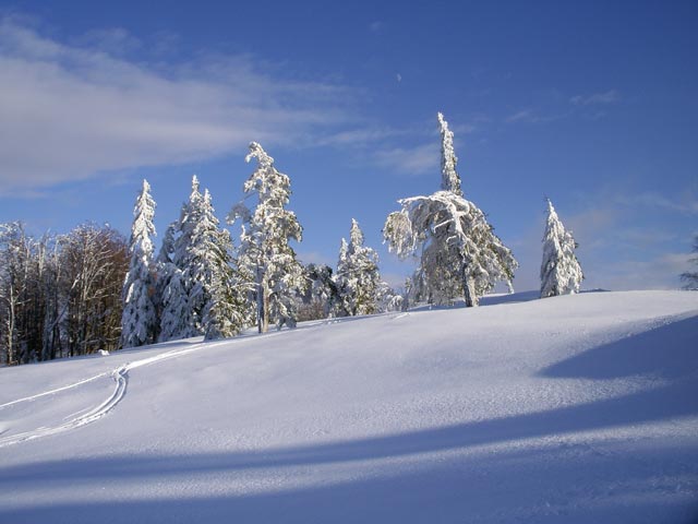 Skiroute Schneissl