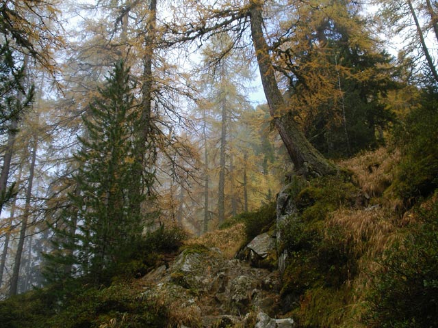 Karnischer Höhenweg zwischen Forcherkaser und Leckfeldsattel (6. Okt.)