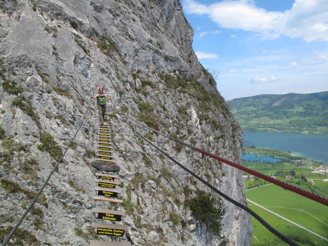 Drachenwand-Klettersteig: Carmen auf der H&auml;ngebr&uuml;cke