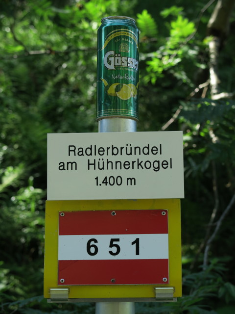 Radlerbr&uuml;ndel am H&uuml;hnerkogel, 1.400 m