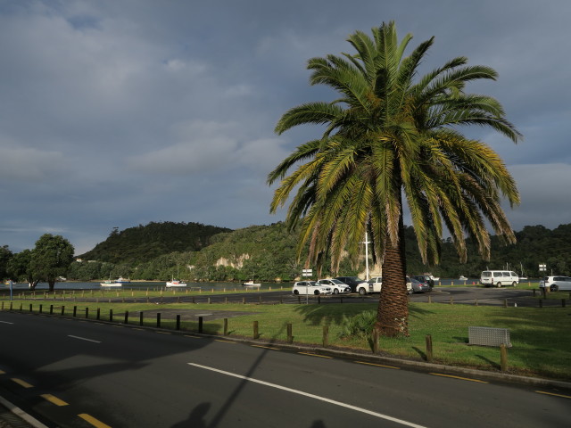 Whitianga Harbour (16. Nov.)