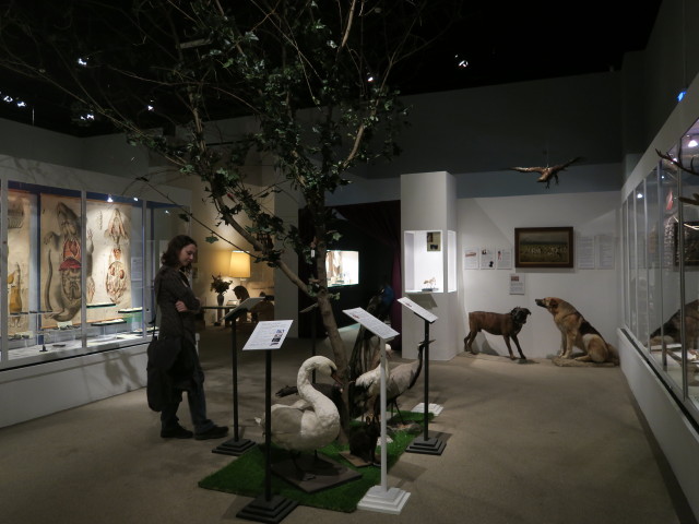 Sabine in der Ausstellung 'Tier & Mensch - Mythos, Fabelwesen und Wirklichkeit' im Schloss Halbturn