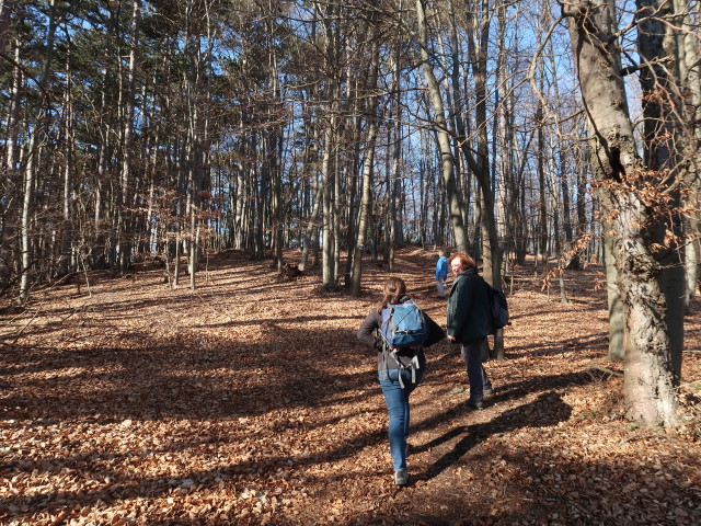 Sabine, Mama und Brigitte zwischen Ludwigsh&ouml;he und K&uuml;hberg