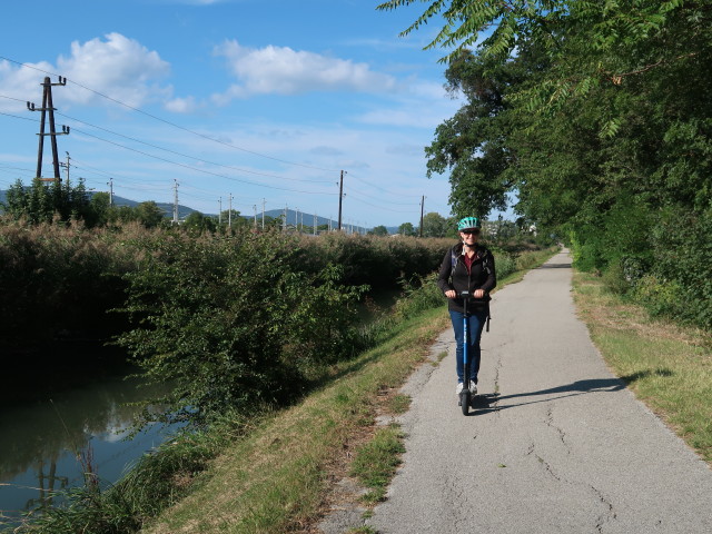 Sabine zwischen Leobersdorf und Sch&ouml;nau