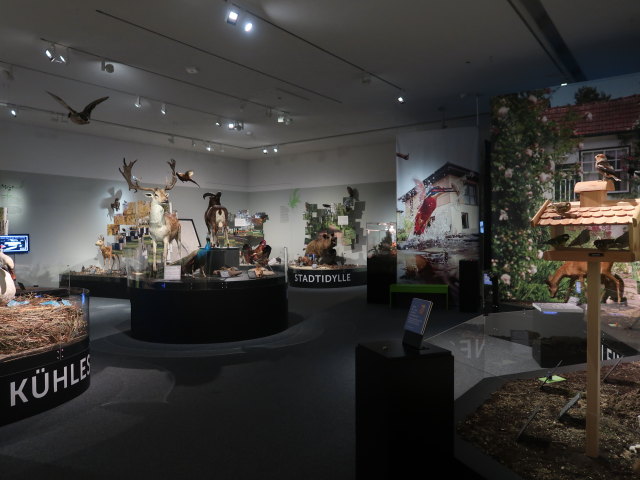 Sonderausstellung 'Wildnis Stadt'