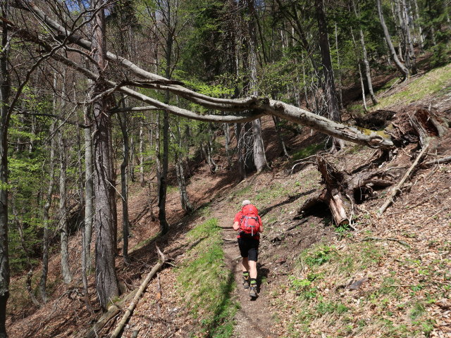 J&ouml;rg am Pfarrerweg zwischen Spitzm&auml;uerl und Rieseralm