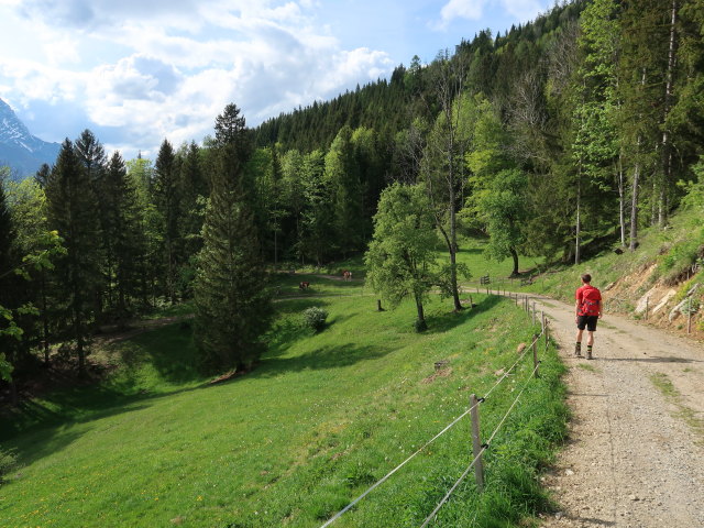 J&ouml;rg zwischen Ramsebn und Immerl-Gsoll