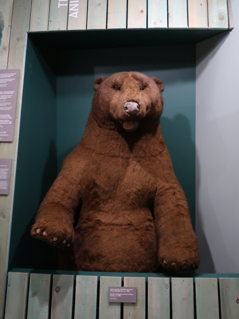 Pratermuseum