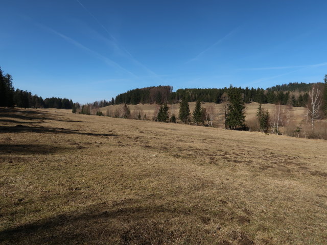 Mamauwiese
