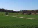 zwischen Niederkreuzstetten und Hautzendorf
