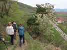 Katja Lin, Stefan und Tim am Welterbesteig zwischen Mieslingtal und St. Michael
