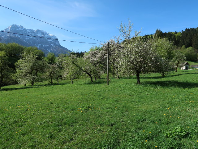 P&ouml;lzau