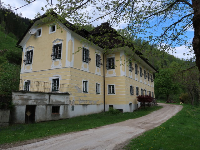 Pfeifferhammer