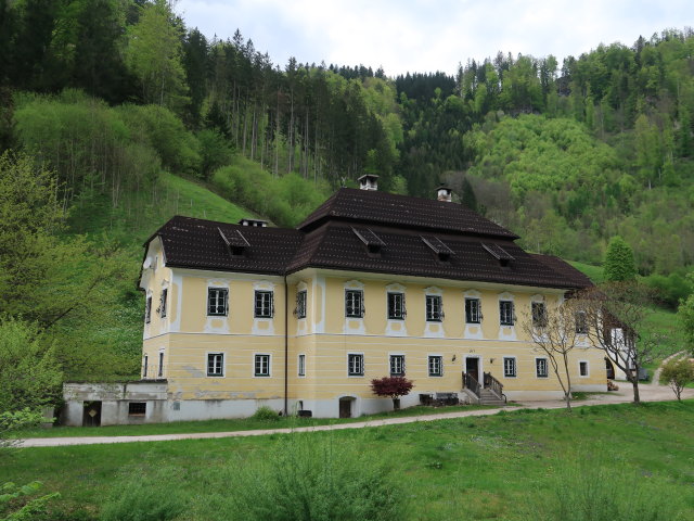 Pfeifferhammer