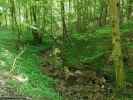 Dambach