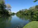 Schlosspark: Schlossteich