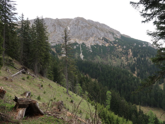 Hohe Veitsch