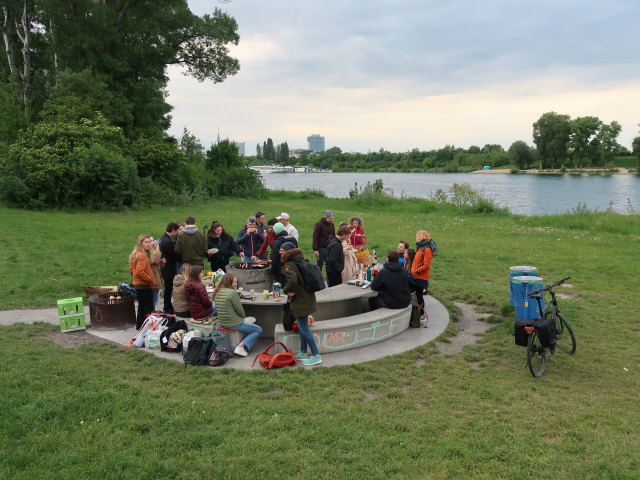 Donauinsel