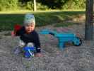 Nils
