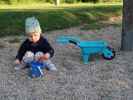 Nils