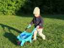 Nils