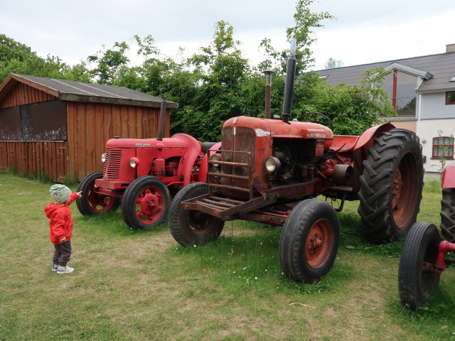 Nils im Oplevelsescenter Nyvang in Holb&aelig;k (17. Mai)
