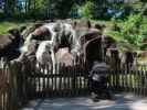 Nils im Givskud Zoo in Give (20. Mai)