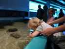 Nils im Nords&oslash;en Oceanarium in Hirtshals (25. Mai)