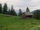 Hochsteinalm, 1.296 m (7. Juni)