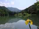 Schafferteich, 891 m (9. Juni)