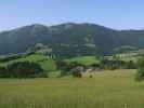 Tamberg von der Huttererseite aus (9. Juni)