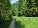 zwischen Steyrsteg und Eisernem Herrgott (10. Juni)