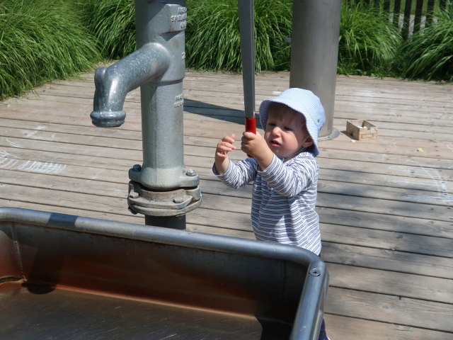 Nils