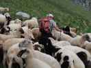Reinhard am Krefelder Weg zwischen Reichenbergkar und Wurfbach (14. Juni)