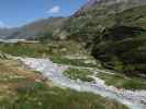 zwischen Eisbodenlacke und Tauernmoossee (15. Juni)