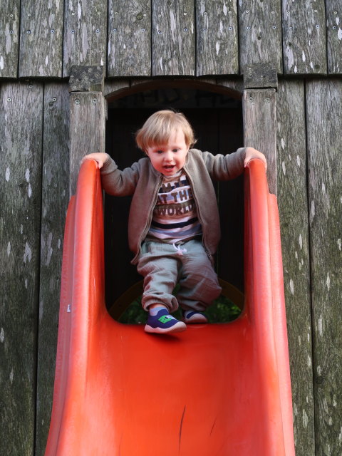 Nils