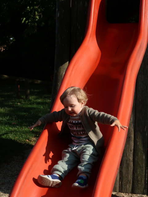 Nils