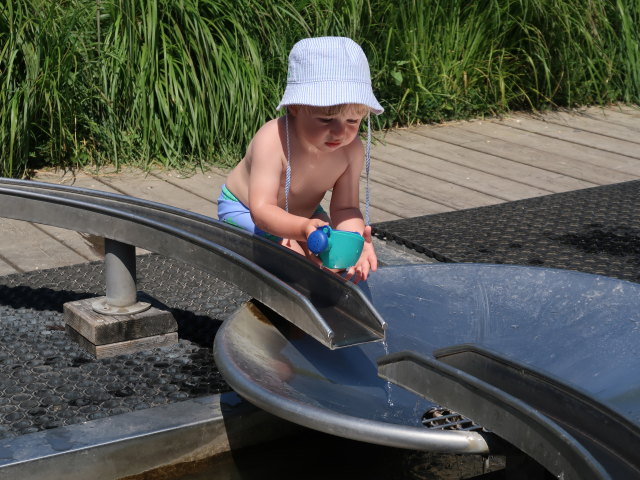 Nils