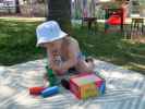 Nils