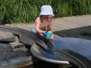 Nils
