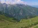 zwischen Harleitenalm und Brandlscharte (21. Juni)