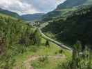 zwischen Monzabonalpe und Z&uuml;rs (20. Juli)