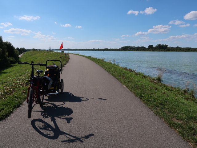 Nils bei Muckendorf