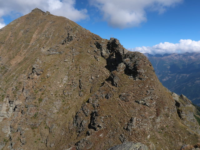 Zellinkopf