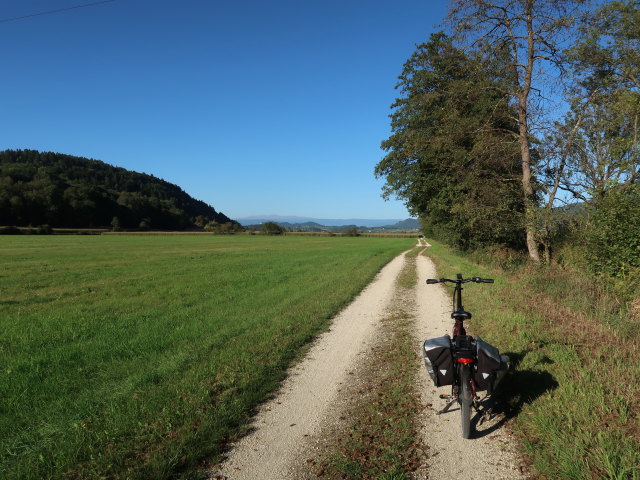 Zollfeld