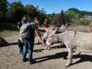 Nils, Ursa, Sabine, Ella und Hannelore im Tierpark Buchenberg