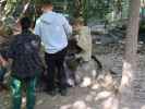 Waschb&auml;ren im Tierpark Buchenberg