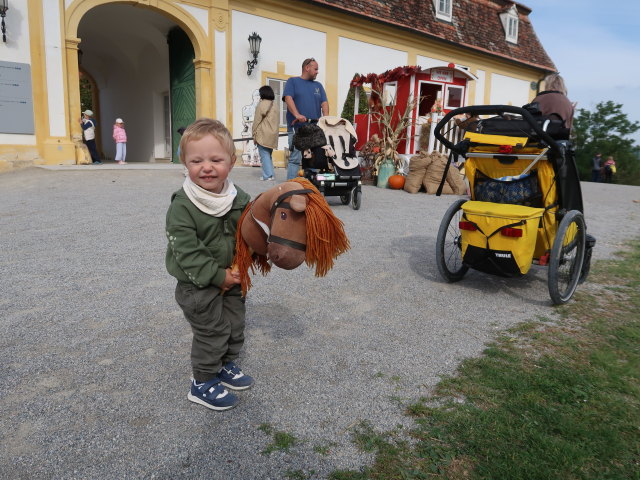 Nils am Herbstfest