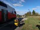 Bahnhof Sierndorf an der March, 153 m